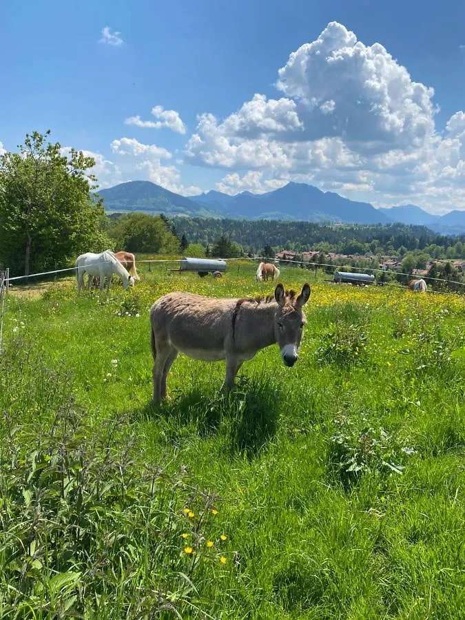Reithamer Bergfensterl Warngau Alemanha